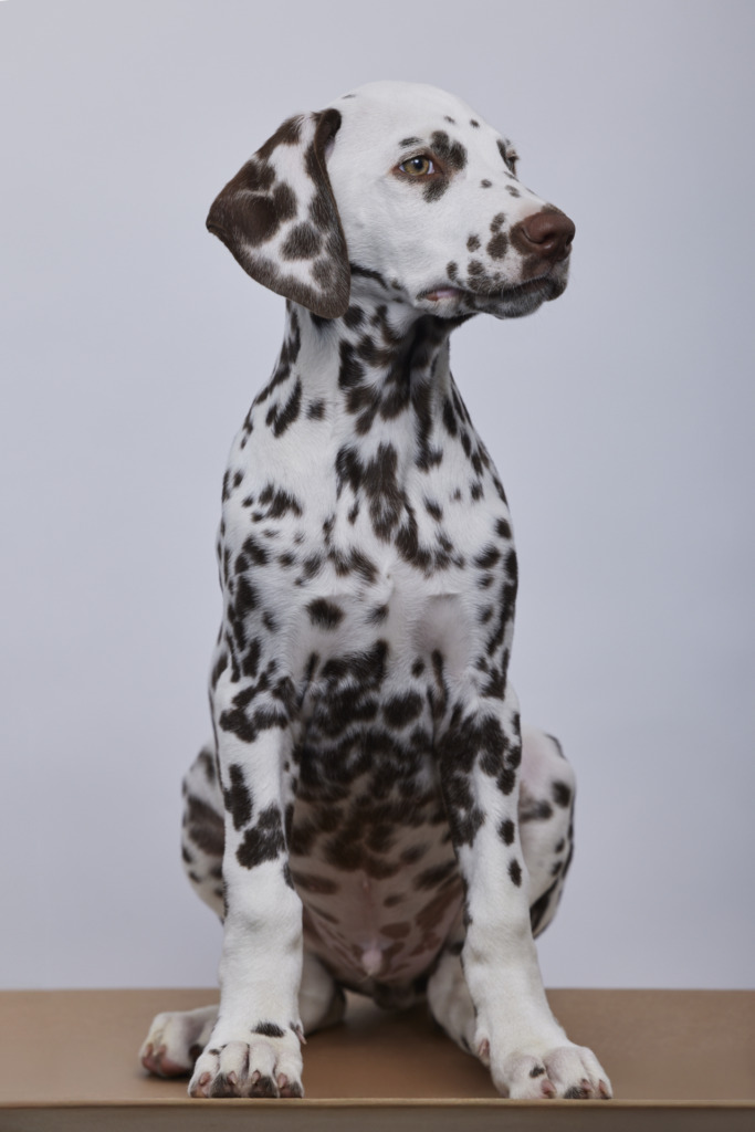 Pablo